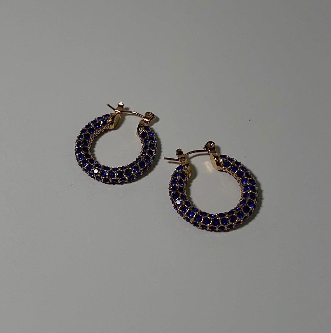 MINI BLUE IRIS HOOPS