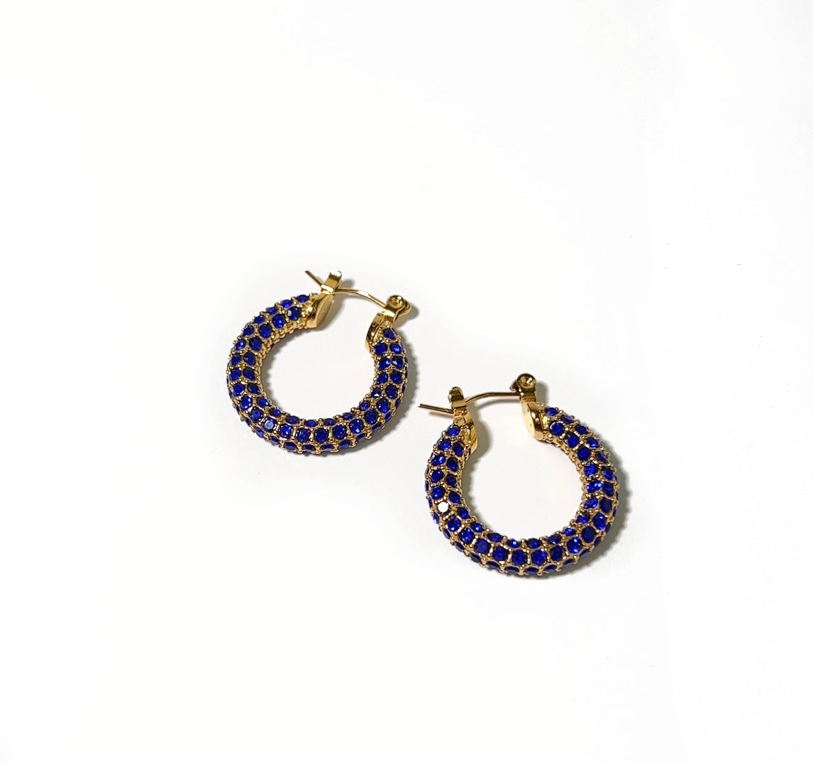 MINI BLUE IRIS HOOPS